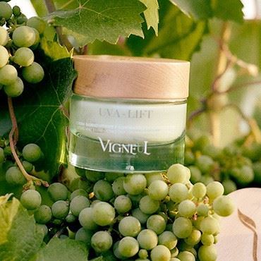 Immagine per la categoria TM Wines & Vigneul